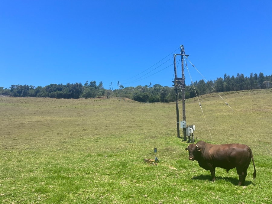  Bedroom Property for Sale in Plettenberg Bay Rural Western Cape